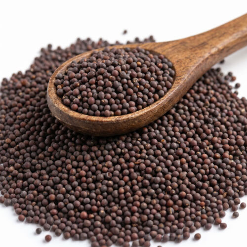Mustard Seeds (Rai-Sasive) - Chemical-Free Tempering Seeds (100g)