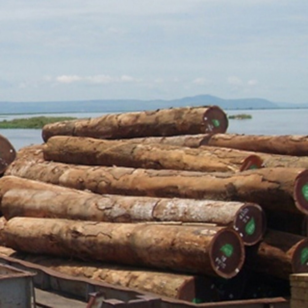 African Log Products - Feature: High Quality