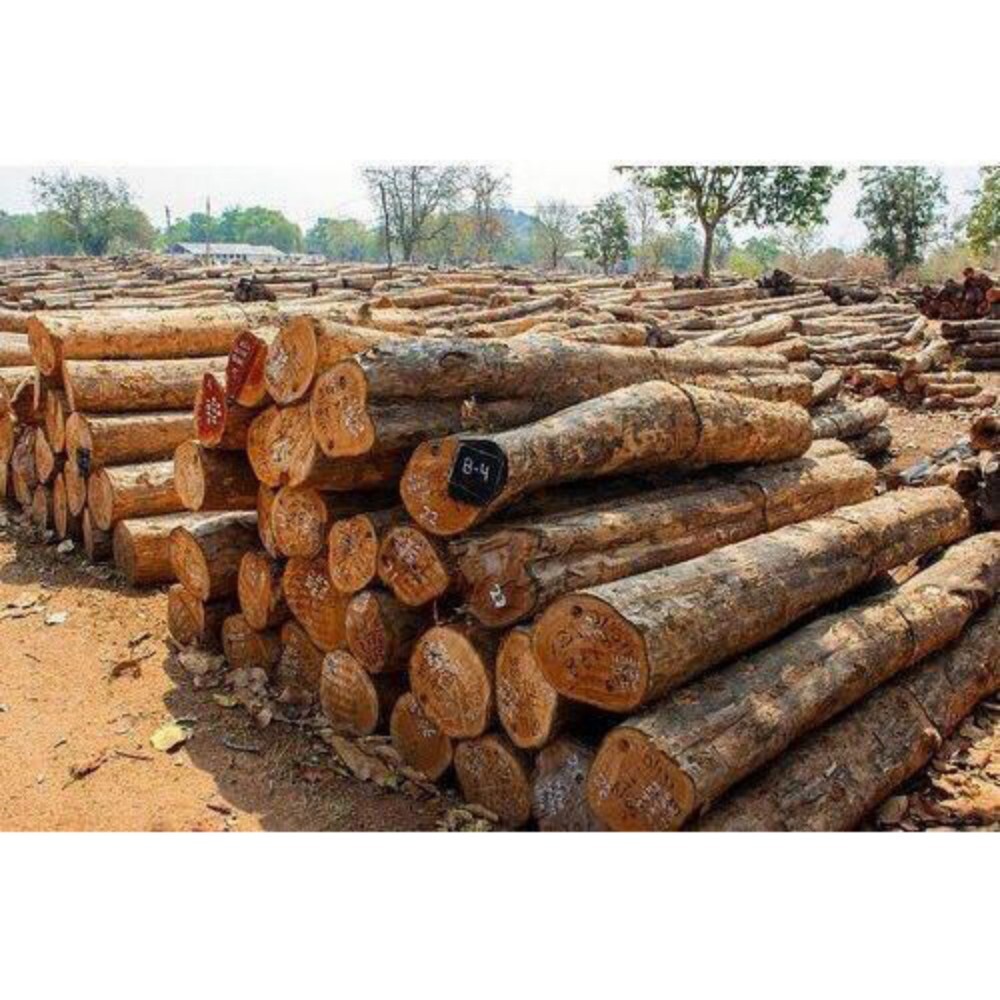 Timber Round Logs - Core Material: Wood