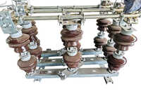 High Voltage Electrical Isolator
