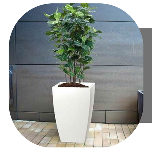 Bended Square FRP Flower Pot