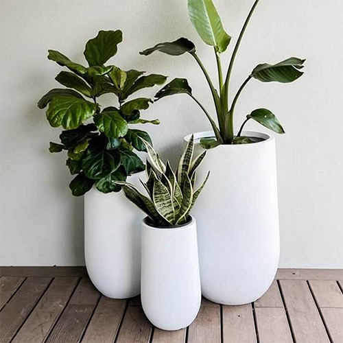 Aura Capsule FRP Flower Pot