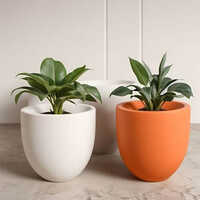 Round Series FRP Flower Pot