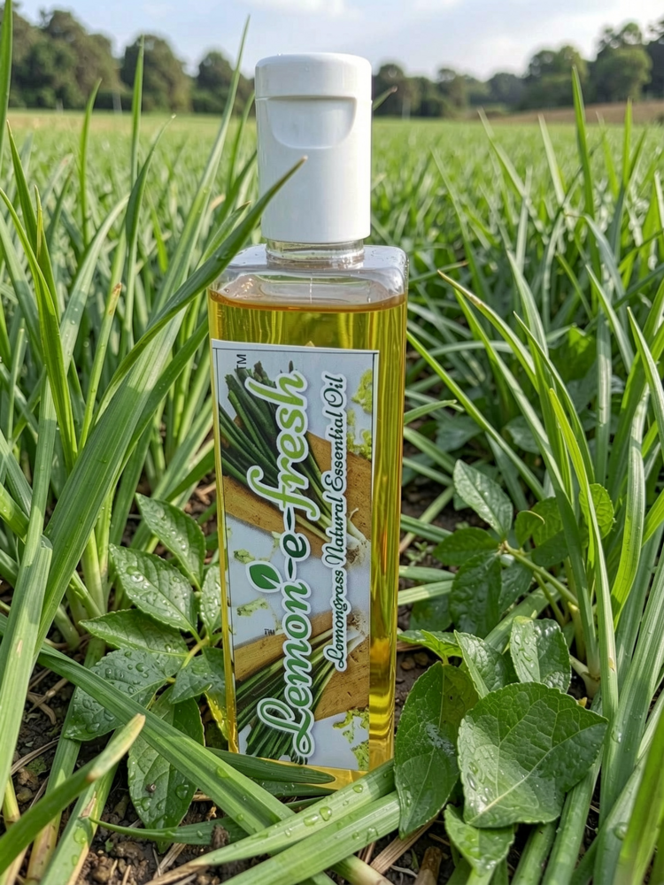 Lemongrass Essential Oil - Cas No: 8007-02-1