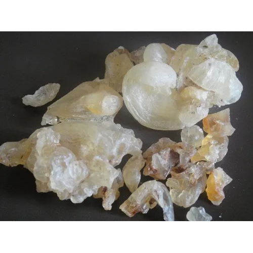 Gum Tragacanth - Food Grade, 99.9% Purity, Ash 13.0% Max, Moisture 10% | Moisture Proof Packaging, Hygienically Processed, Versatile Applications