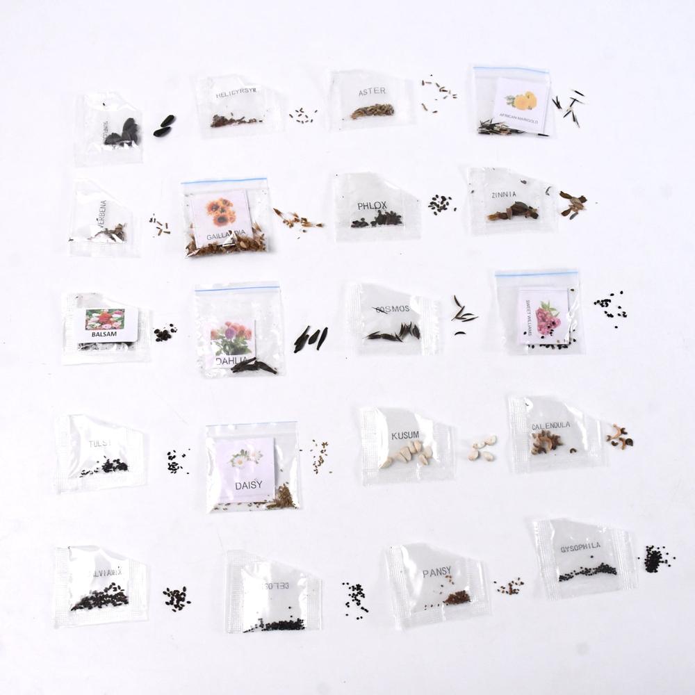 Seeds 20 Varieties of Flower Seeds Combo (1 Pkt / 20 Varieties)