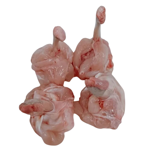 Frozen Chicken