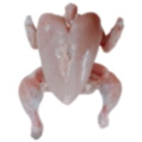 Dressed Chicken - Admixture (%): 0%