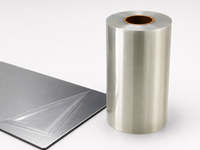 Painted Surface Protection Film
