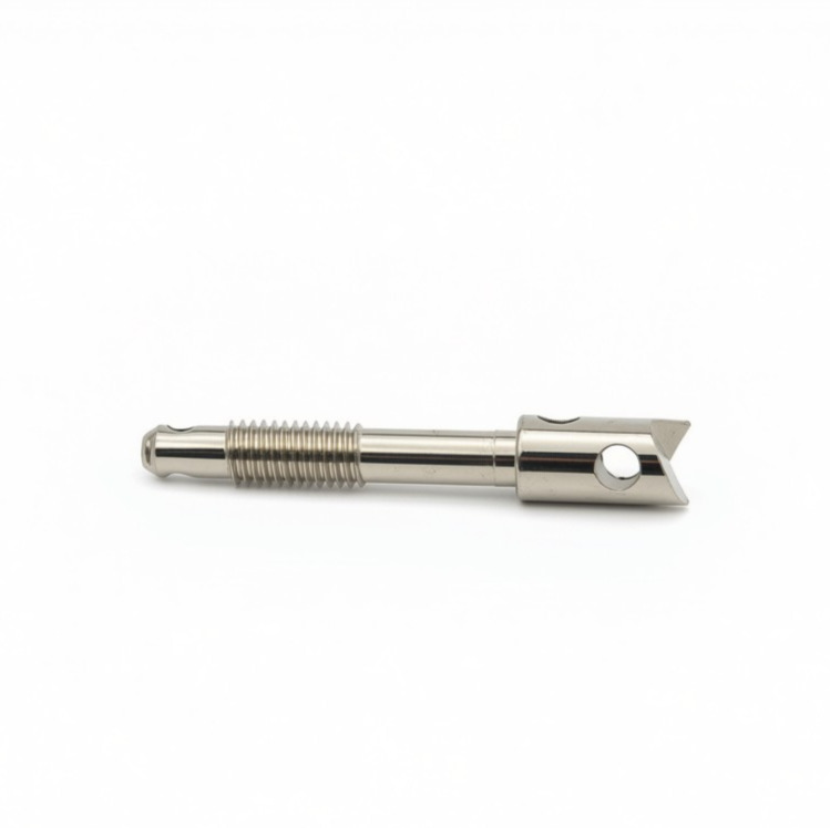 Brass Sealing Screw