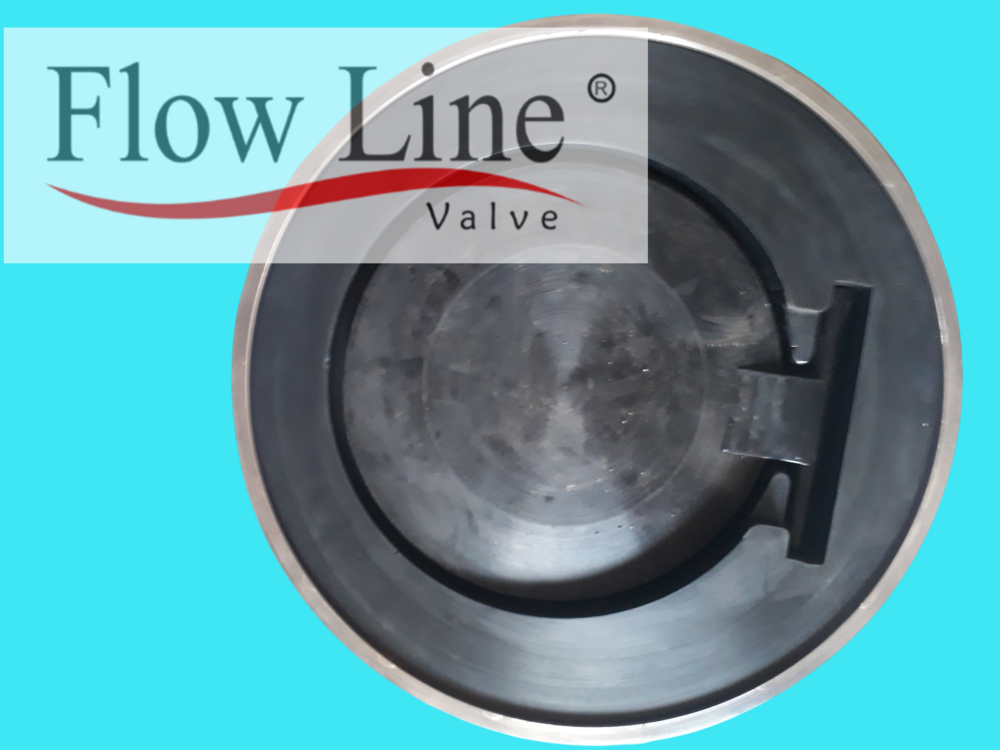 Pfa Lined Swing Check Valve - Material: Cast Iron