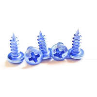 Phillips Iron Screw