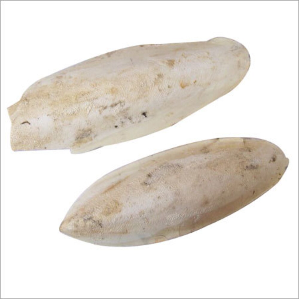 Natural Ossa Sepia - Flavor: Neutral