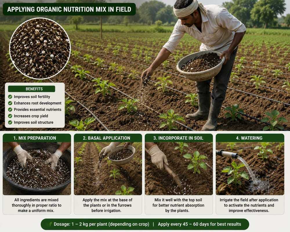 Agricultural Basal Dose Fertilizer