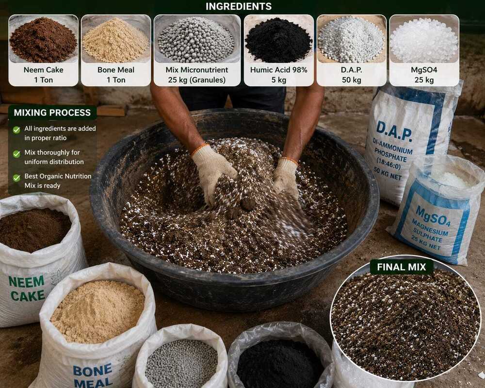 Agricultural Basal Dose Fertilizer