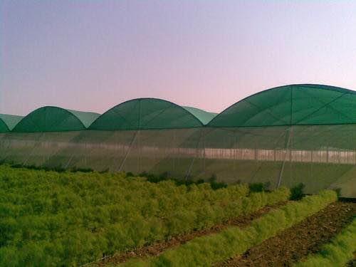 Dome Type Agro Shade Net House