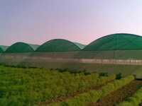 Dome Type Agro Shade Net House
