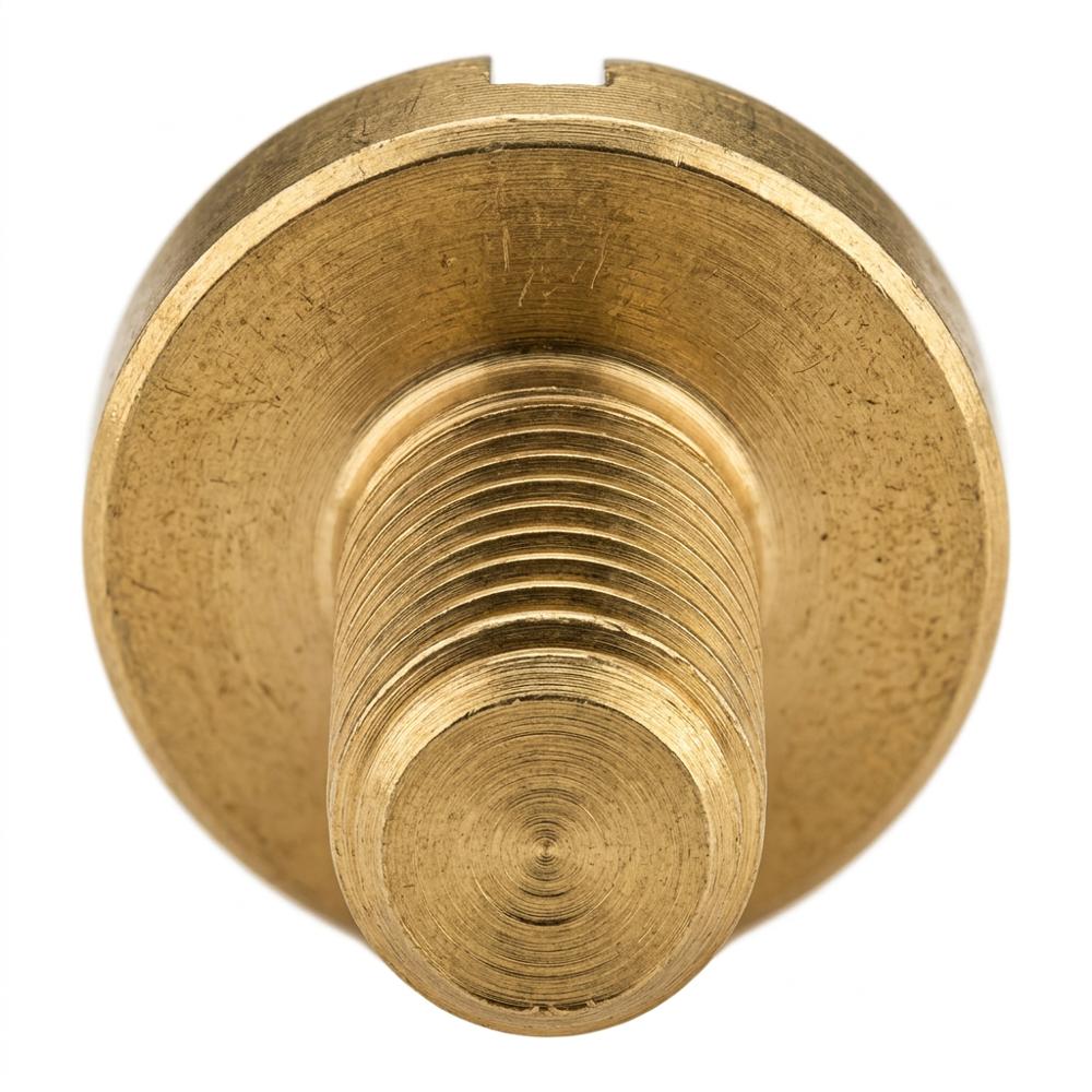 Brass PAN Head Screws