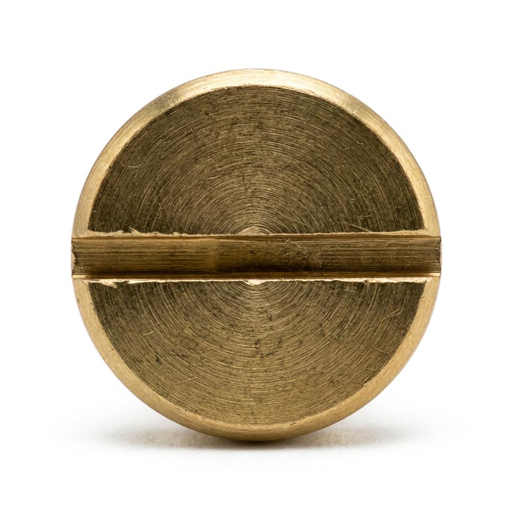 Brass PAN Head Screws