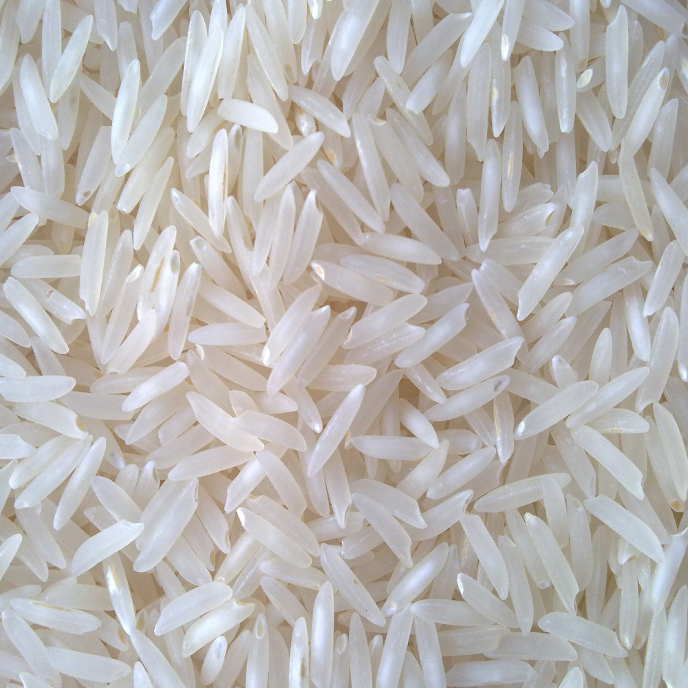 Bulk Sona Masoori Medium Grain Fresh Premium Lightweight Aromatic Indian Rice