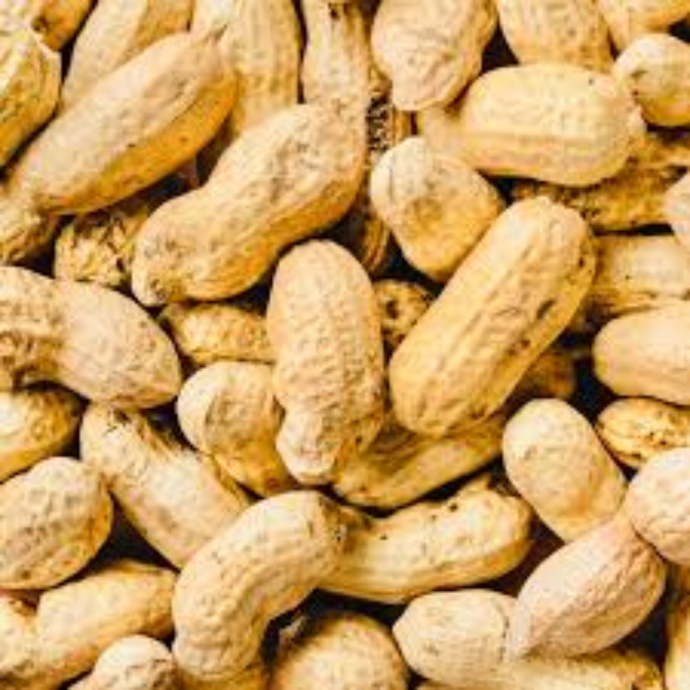 Export Quality Natural Raw Peanut Kernels (Groundnuts)