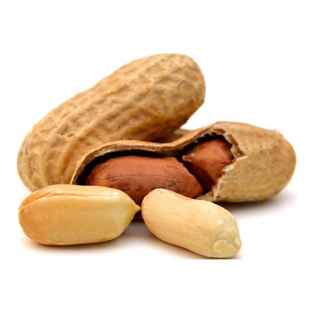 Indian Groundnut Peanut Kernels Premium Quality Raw Peanuts