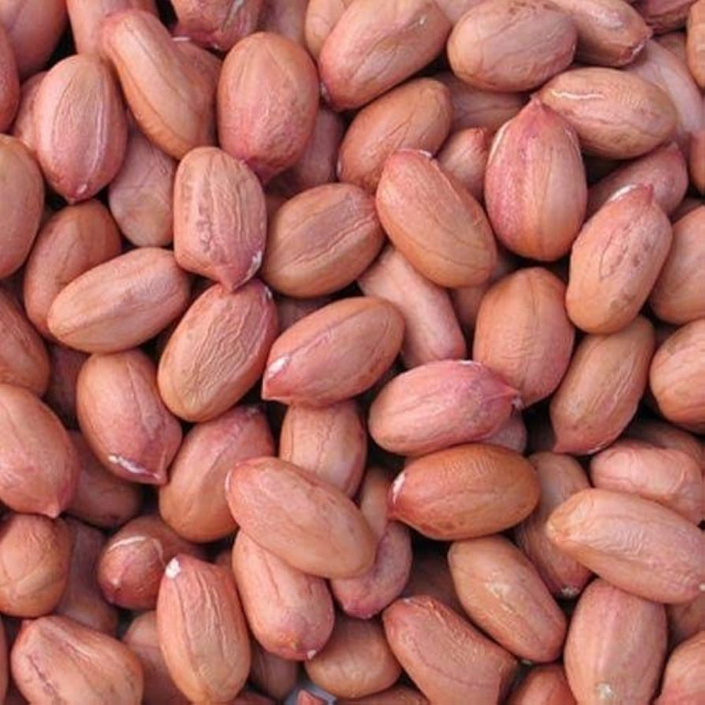 Indian Groundnut Peanut Kernels Premium Quality Raw Peanuts