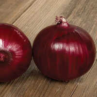 High Quality Indian Red Fresh Dry Onion