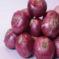 High Quality Indian Red Fresh Dry Onion