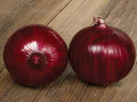 Fresh Indian Red Onion Natural Export Quality Dry Red Onion