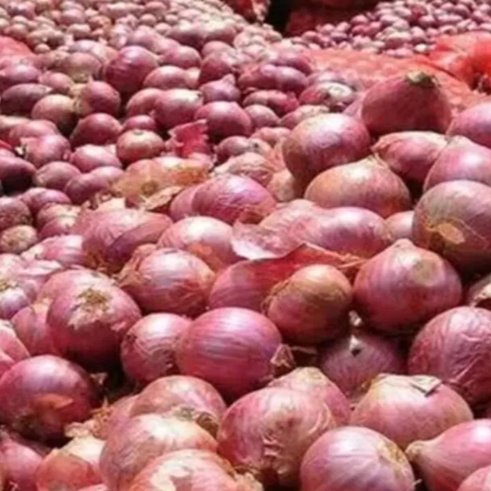 Fresh Indian Red Onion Natural Export Quality Dry Red Onion