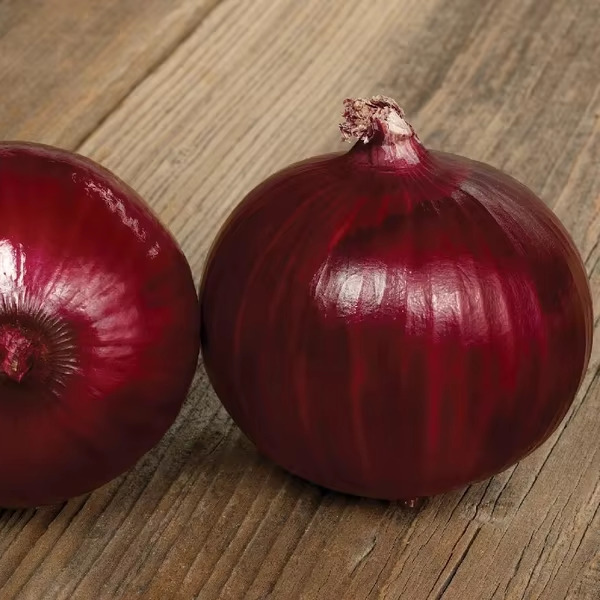 Fresh Red Onion Premium Export Quality Natural Indian Onion