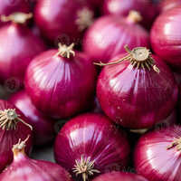 Fresh Red Onion Premium Export Quality Natural Indian Onion