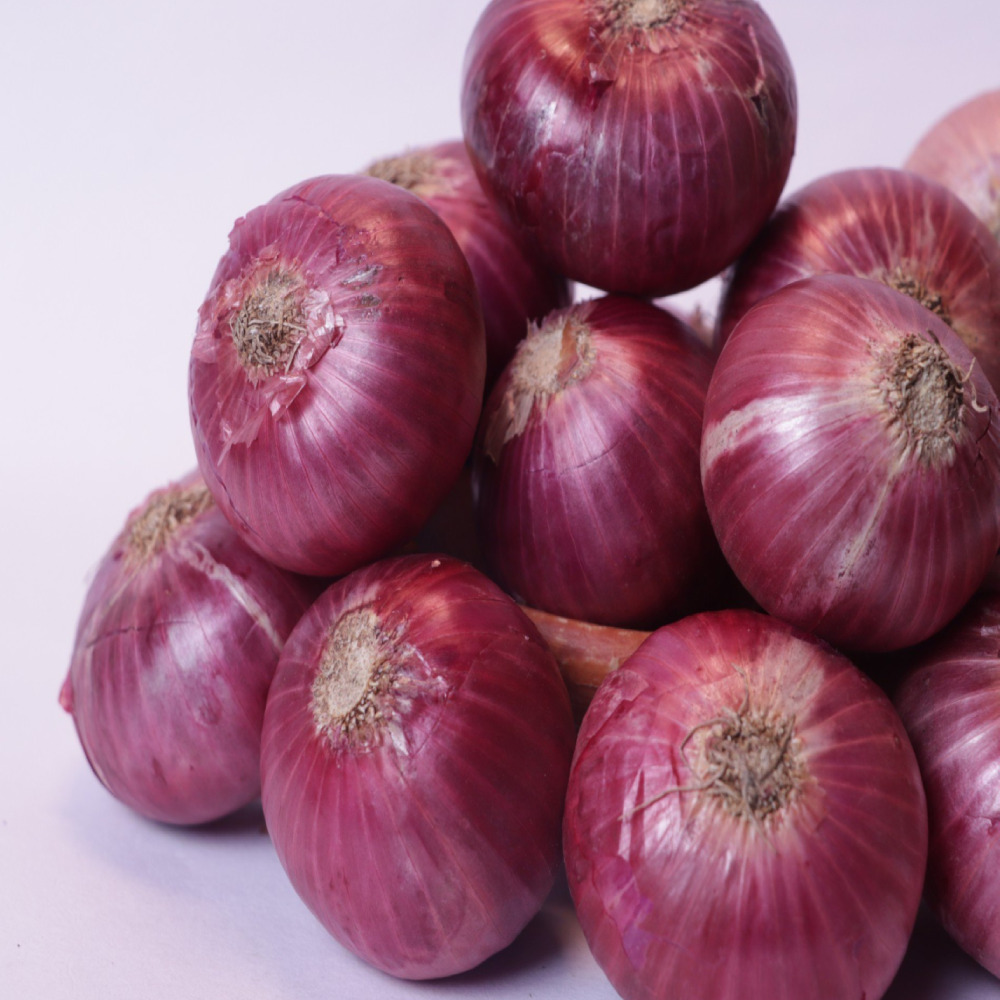 Fresh Red Onion Premium Export Quality Natural Indian Onion