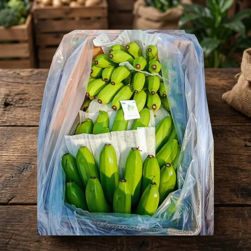 Fresh Banana Fruit Premium Cavendish Variety Yellow Bananas