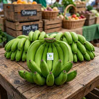 Farm Fresh Banana Fruit Export Grade Cavendish Banana