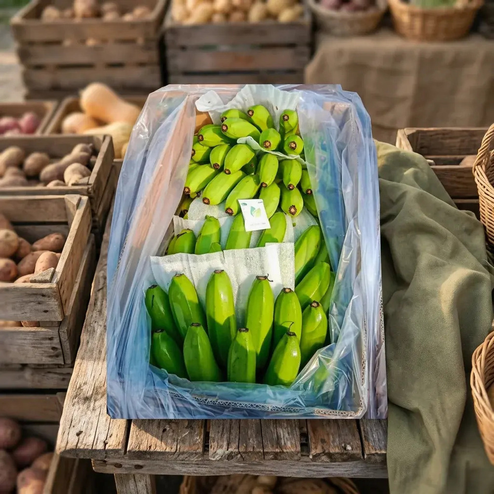Export Grade Fresh Sweet Cavendish Banana