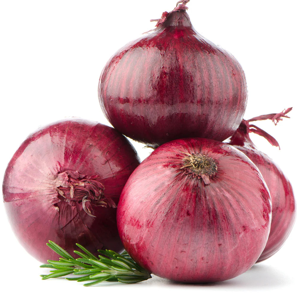 Indian Red Fresh High Quality Dry Onion