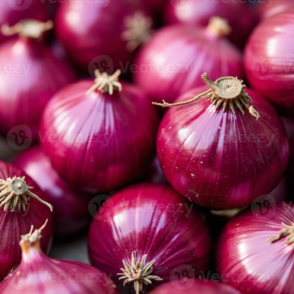 Indian Red Fresh High Quality Dry Onion