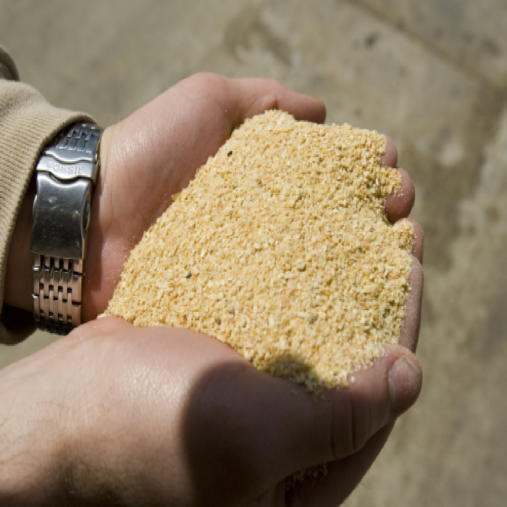High Protein Feed Soybean Meal