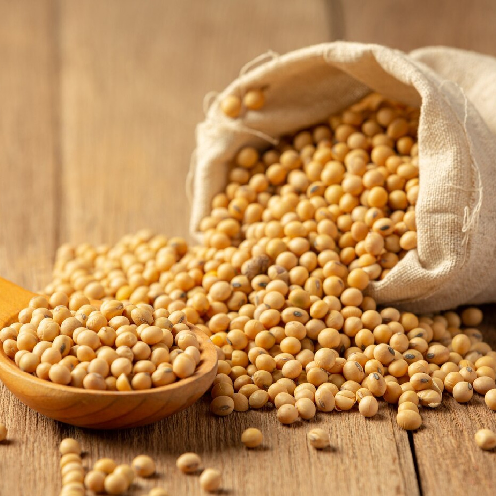 High Quality Defated Soybean Meal