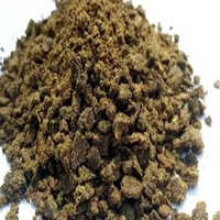 Rapeseed Meal Export Quality High Protein Feed