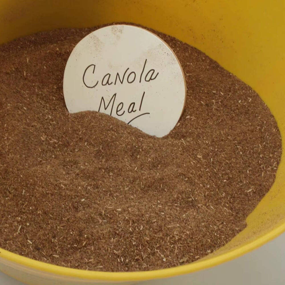 Rapeseed Meal Canola Meal High Protein Animal Feed