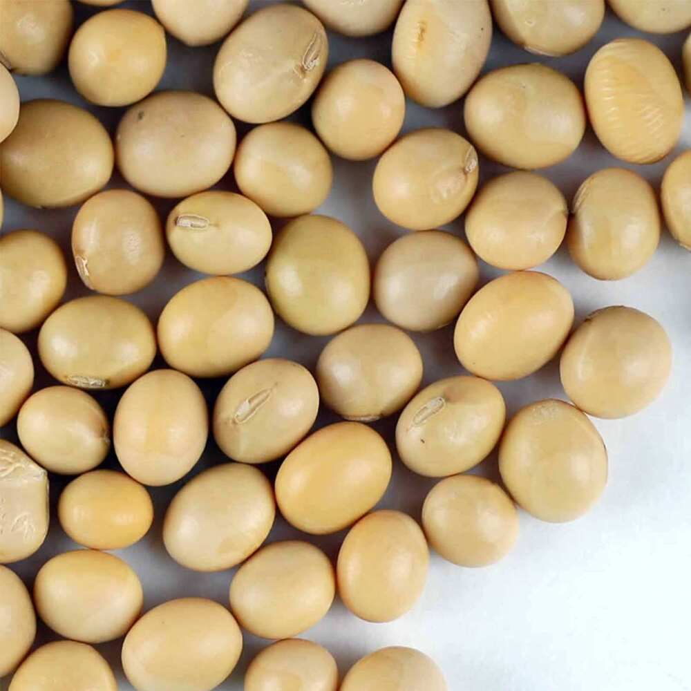 Premium Fresh Soybean Seeds