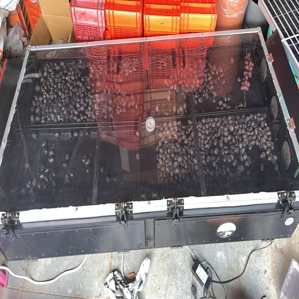 Solar Dryer for Apple