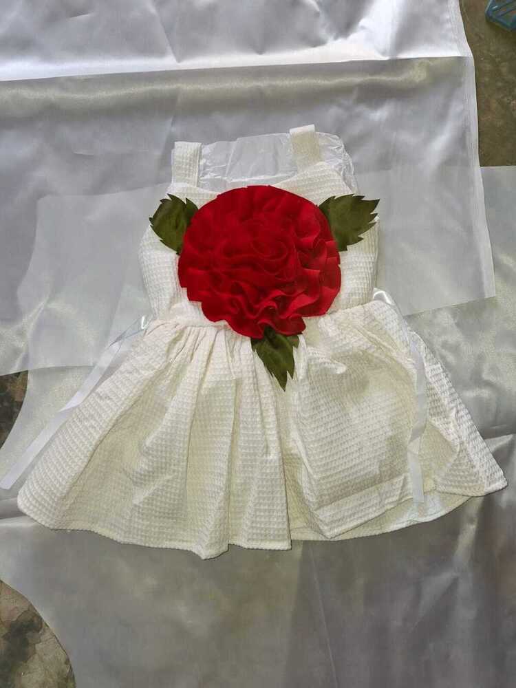 Baby girls designer frocks