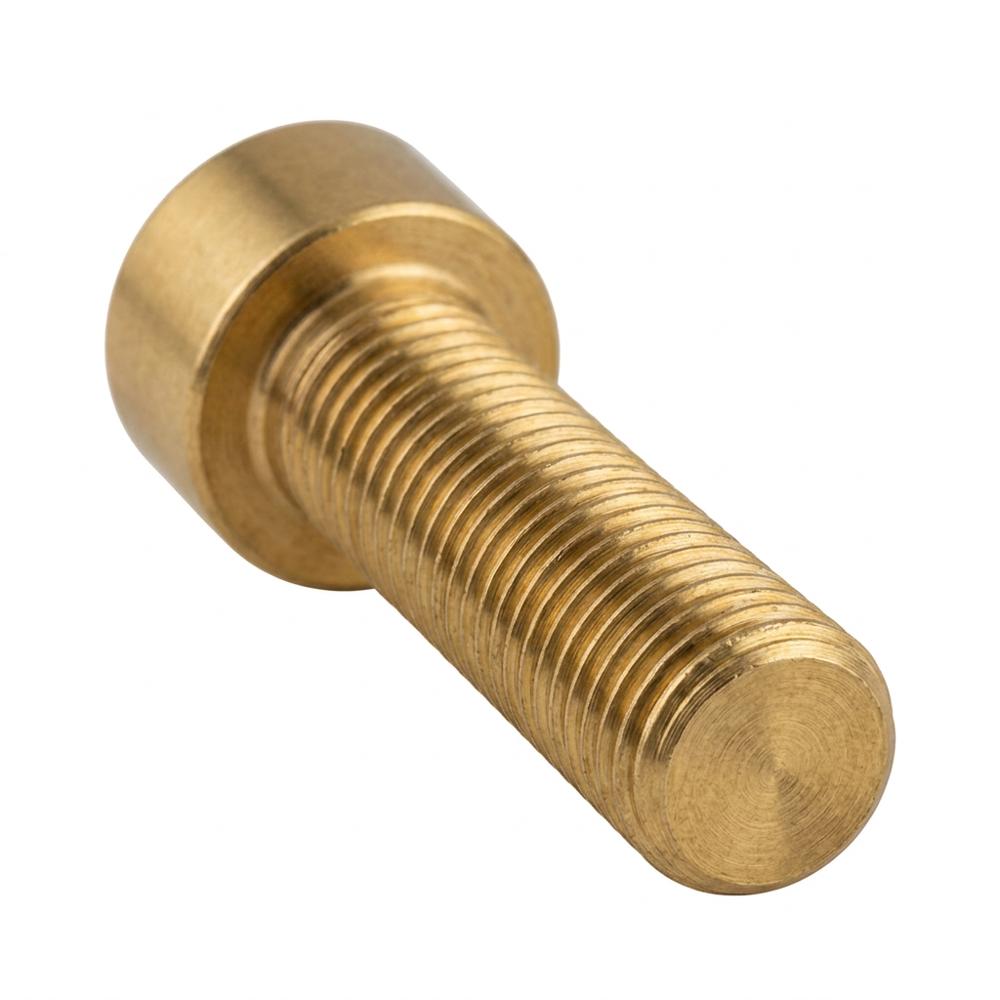 Brass Socket Head Screw