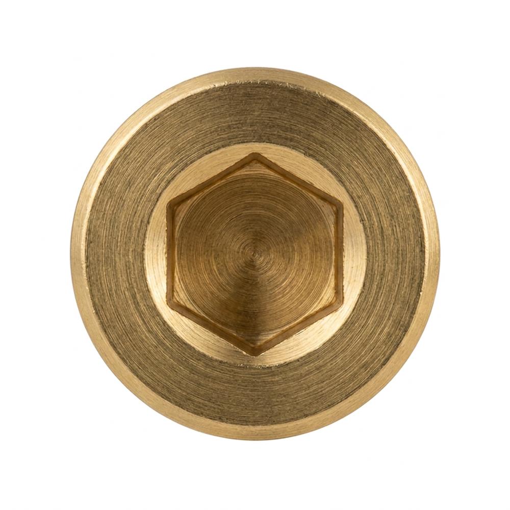 Brass Socket Head Screw