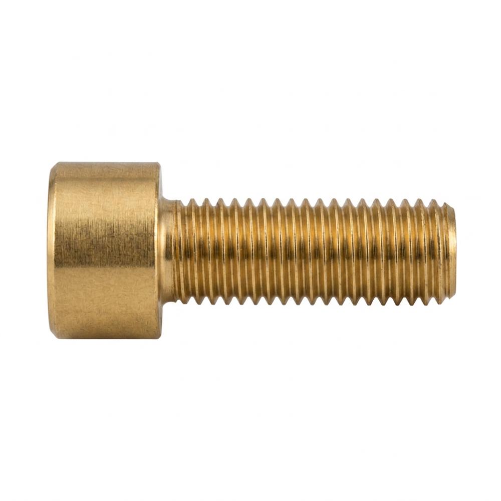 Brass Socket Head Screw