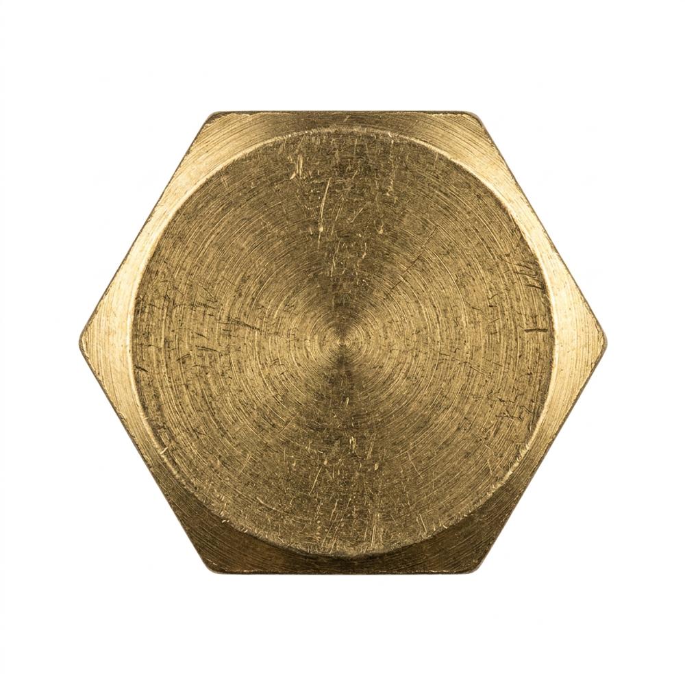 Brass Hex Head Screws